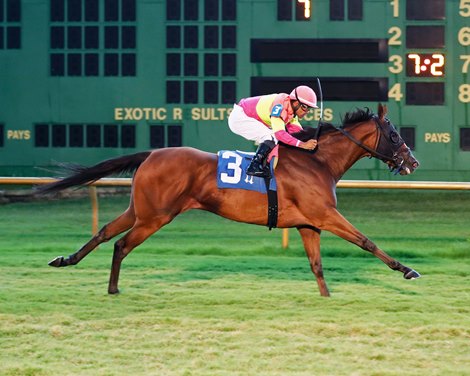 Fast as Flight wins 2023 Anchorage overnight bets at Ellis . Park