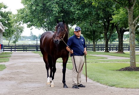 Hip 473,  2023 Fasig-Tipton July Sale
