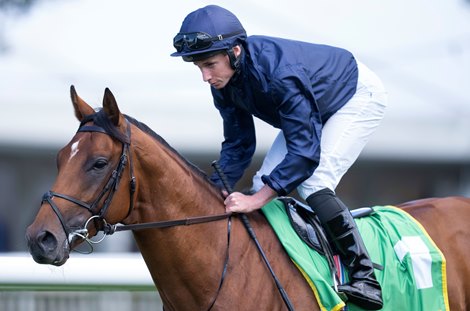 City of Troy (Ryan Moore) canters to post before the Superlative Stakes<br>
Newmarket 15.7.23 Pic: Edward Whitaker