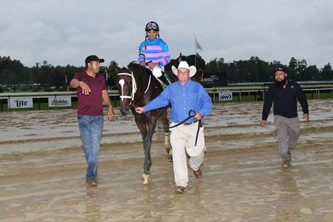 Callie's Grit wins a maiden special weight on Saturday, July 29, 2023 at Saratoga