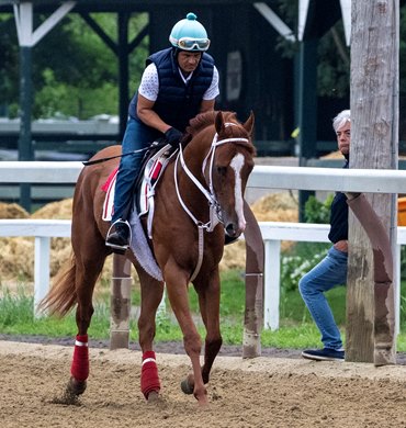 2023 Kentucky Derby winner Mage takes to the Oklahoma Training Center track for the first time since arriving from Monmouth Park Wednesday July 26, 2023 in Saratoga Springs, N.Y. Photo  by Skip Dickstein