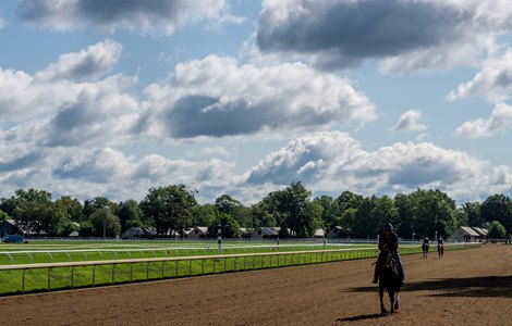 A beautiful day replaced the rain, the heat and the humidity on a Chamber of Commerce type day as the horses go to the track for exercise on the Oklahoma Training Center adjacent to the Saratoga Race Course Sunday, July 30, 2023 in Saratoga Springs, N.Y. Photo  by Skip Dickstein