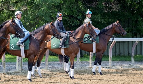 Eddie Davis sits aboard Cody’s Wish on a warm but comfortable morning at the Oklahoma Training Center with him is Art Collector, ;left and War Like Goddess, center July 11, 2023 in Saratoga Springs, N.Y. Photo  by Skip Dickstein