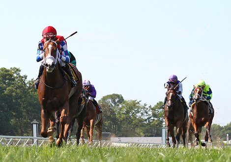 Amidst Waves #4 with Feargal Lynch riding won the $100,000 Colleen Stakes at Monmouth Park Racetrack in Oceanport, NJ on Saturday July 29, 2023. Photo By Bill Denver/EQUI-PHOTO