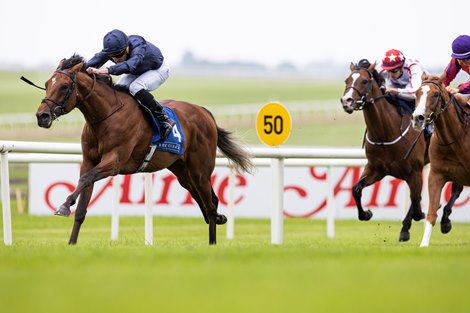 City of Troy and Ryan Moore winning the 7f colts and geldings maiden<br>
The Curragh.<br>
Photo: Patrick McCann/Racing Post<br>
01.07.2023