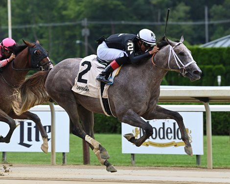 Seize the Grey - Maiden Win, Saratoga, July 29, 2023