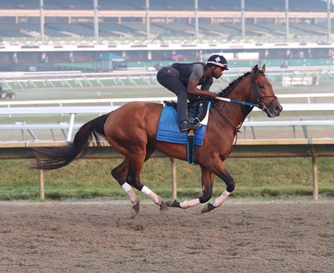 Extra Anejo gallops at Monmouth Park on Thursday morning 7/20/23 with exercise rider Roberto Howell in preparation for Saturday&#39;s $1,000,000 Grade 1 Haskell Stakes. Photo By Bill Denver/EQUI-PHOTO