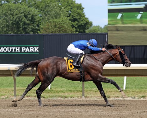 Rattle N Roll enters Jockey Club Gold Cup in peak form; McKulick faces  three in Flower Bowl - Brisnet