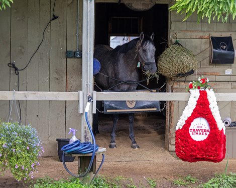 Morning after with Arcangelo at the Jena Antonucci barn after winning the Travers Stakes (G1) at Saratoga in Saratoga Springs, N.Y., on Aug. 27, 2023.