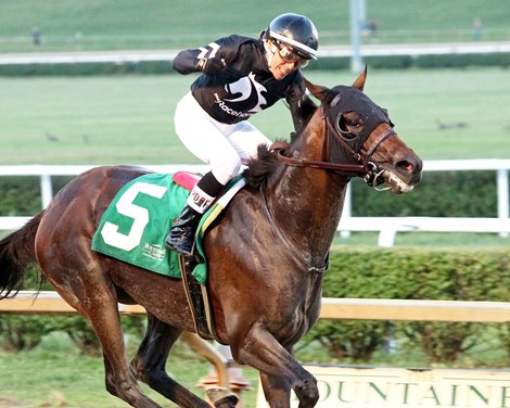 Duke of Love wins the West Virginia Governor's Stakes on Sunday, August 6, 2023 at Mountaineer