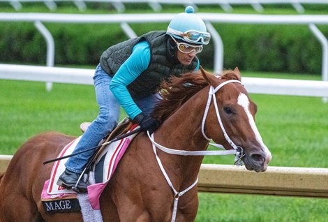Kentucky Derby 2023 winner Mage with exercise rider J.J. Delgado does his last preparatory workout for next week's Travers Stakes at the Saratoga Race Course Saturday, Aug. 19, 2023 in Saratoga Springs, N.Y. Photo by Skip Dickstein