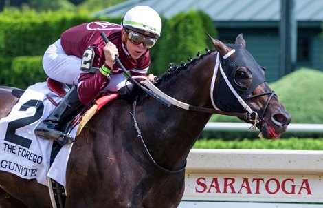 Gunite with jockey Tyler Gafflione wins the 44th running of The Forego at the Saratoga Race Course Saturday Aug 26, 2023 in Saratoga Springs, N.Y. Photo Special to the Times Union by Skip Dickstein