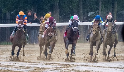 Idiomatic, center leads the field at the top of the stretch on the way to a gate to wire win in the 76th running of The Personal Ensign at the Saratoga Race Course Friday Aug. 25, 2023 in Saratoga Springs, N.Y. Photo  by Skip Dickstein