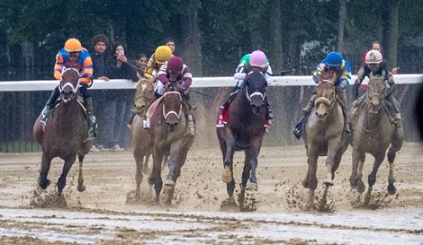 Idiomatic, center leads the field at the top of the stretch on the way to a gate to wire win in the 76th running of The Personal Ensign at the Saratoga Race Course Friday Aug. 25, 2023 in Saratoga Springs, N.Y. Photo by Skip Dickstein Idiomatic, center leads the field at the top of the stretch on the way to a gate to wire win in the 76th running of The Personal Ensign at the Saratoga Race Course Friday Aug. 25, 2023 in Saratoga Springs, N.Y. Photo by Skip Dickstein