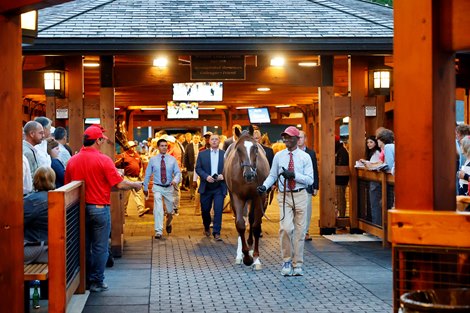 Hip 165, 2023 Fasig-Tipton Saratoga Selected Yearling Sale