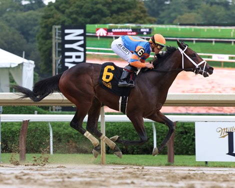 Fierceness, Maiden Win, Saratoga, August 25 2023 Fierceness, Maiden Win, Saratoga, August 25 2023