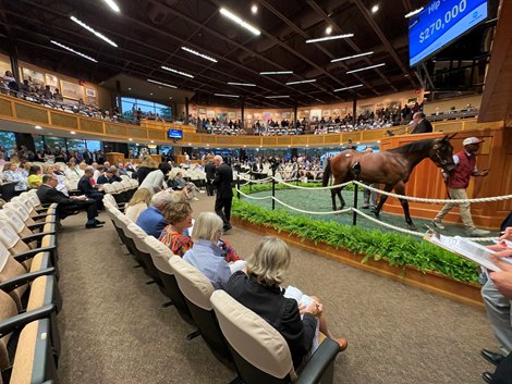 Scenics, 2023 Fasig-Tipton Selected Yearling Sale