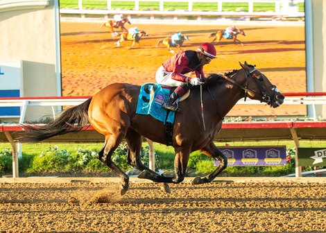 Anarchist and jockey Ramon Vazquez win the Grade II, $250,000 Pat O'Brien Stakes, Saturday, August 26, 2023 at Del Mar Thoroughbred Club, Del Mar CA.<br>
© BENOIT PHOTO