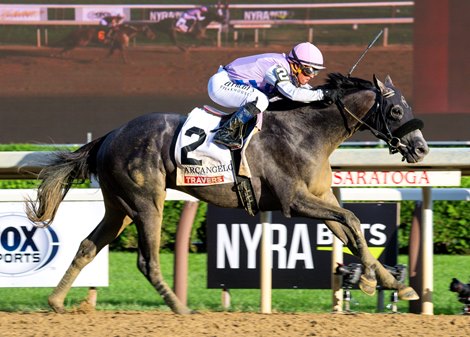 Arcangelo with Javier Castellano wins the Runhappy Travers Stakes (G1) at Saratoga Race Course in Saratoga Springs, N.Y., on Aug. 26, 2023.