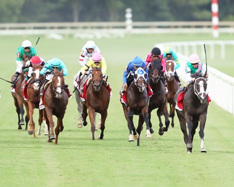 Set Piece wins the Arlington Million Stakes on Saturday, August 12, 2023 at Colonial Downs