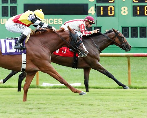 Bay Storm wins the KY Downs Preview Mint Ladies Turf Sprint Stakes on Saturday, August 5, 2023 at Ellis Park