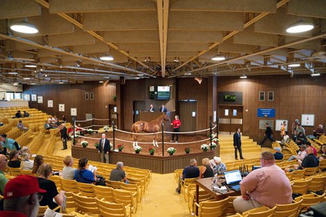 Buyers look on as a horse is shown at the 2022 Canadian Premier Yearling Sale