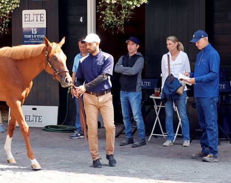 Bradley Weisbord, Elite Sales, 2023 Fasig-Tipton Selected Yearling Sale