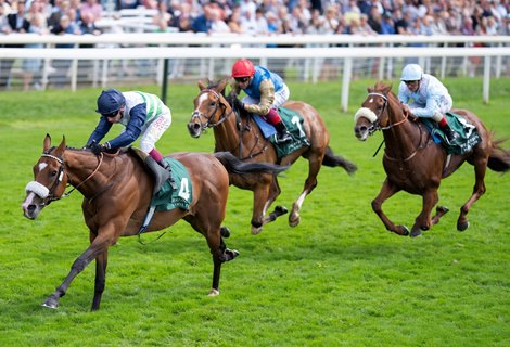 Coltrane (Oisin Murphy) beats Courage Mon Ami and Giavellotto in the Lonsdale Cup<br>
York 25.8.23 Pic: Edward Whitaker