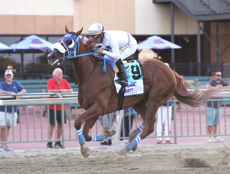Il Miracolo #9 with Luis Saez riding won the $300,000 Grade III Smarty Jones Stakes at Parx Racing in Bensalem, PA on Tuesday August 22, 2023. Photo By Ryan Denver/EQUI-PHOTO Il Miracolo #9 with Luis Saez riding won the $300,000 Grade III Smarty Jones Stakes at Parx Racing in Bensalem, PA on Tuesday August 22, 2023. Photo By Ryan Denver/EQUI-PHOTO
