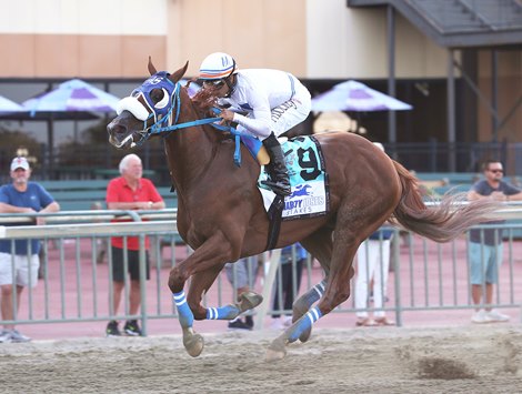 Il Miracolo #9 with Luis Saez riding won the $300,000 Grade III Smarty Jones Stakes at Parx Racing in Bensalem, PA on Tuesday August 22, 2023.  Photo By Ryan Denver/EQUI-PHOTO