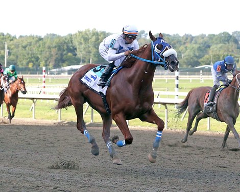 Il Miracolo #9 ridden by Luis Saez went extremely wide but still won the $300,000 Smarty Jones Stakes (GIII) on August 22, 2023 at Parx Racing in Bensalem, PA. The three-year-old son of Gun Runner is trained by Antonio Sano for Eduardo Soto. Photo by Nikki Sherman/EQUI-PHOTO.