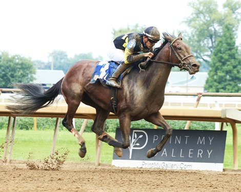 Positano Sunset wins the Audubon Oaks on Sunday, August 13, 2023 at Ellis Park