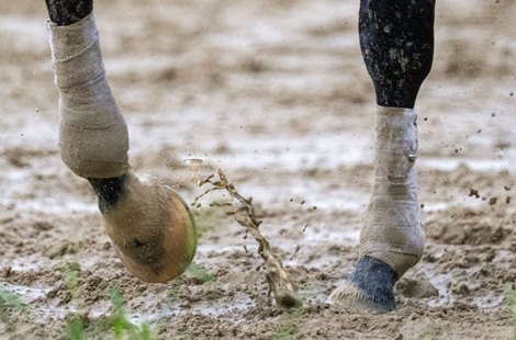 Mud was the conditions of the track during training hours on the main track at the Saratoga Race Course Friday, Aug. 18, 2023 in Saratoga Springs, N.Y. Photo  by Skip Dickstein