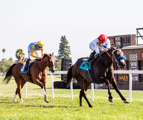 ASCENDANCY WINS THE 53RD RUNNING OF LUTHER BURBANK STAKES FOR $75,000 GUARANTEED RUNNING 1 1/16 MILES ON THE TURF IN 1:43.21 WITH ALEXANDER CHAVEZ IN THE SADDLE AND O. J. JAUREGUI TRAINING AT SANTA ROSA