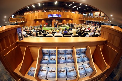 Scene, 2023 Fasig-Tipton New York Bred Yearling Sale