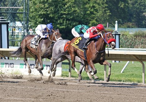 #6 Princess Indy ridden by Jockey Carlos Rojas won the $200,000 Sorority at Monmouth Park Racetrack in Oceanport, NJ on Sunday August 20, 2023 Photo By Bill Denver/EQUI-PHOTO