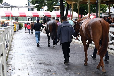 Saratoga Cancelled, August 4 2023<br>
Field for the Hall of Fame Stakes Exits