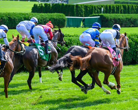 New Ginya with Dylan Davis wins the Yaddo at Saratoga Race Course in Saratoga Springs, N.Y., on Aug. 27, 2023.  <br>
New York Showcase of New York bred Thoroughbreds