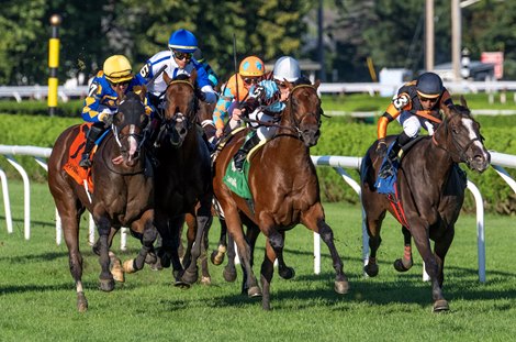 Things got a little close in the field as it headed to the finish which was won by #3 Closethegame Sugar ridden by Jose Lezcano in the 5th running of The Mahony at the Saratoga Race Course Sunday, Aug. 13, 2023 in Saratoga Springs, N.Y. Photo by Skip Dickstein