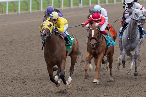 Jockey Daisuke Fukumoto led Patches O'Houlihan to victory in the $150,000 Bold Venture Stakes, trained by Robert Tiller and ridden by Frank Di Giulio Jr.