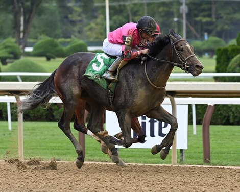 Deterministic, Maiden Win, Saratoga, August 12 2023 Deterministic, Maiden Win, Saratoga, August 12 2023