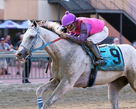 Gamboling Ghost #9 ridden by Jairo Rendon wins the $100,000 Whistle Pig Stakes on August 21, 2023 at Parx Racing in Bensalem, PA. The PA-Bred son of Weigelia is trained by Jason DaCosta for Calypso Stable. Photo by Nikki Sherman/EQUI-PHOTO.