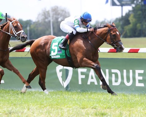 Vergara wins the 2023 Ladies Marathon Stakes at Kentucky Downs
