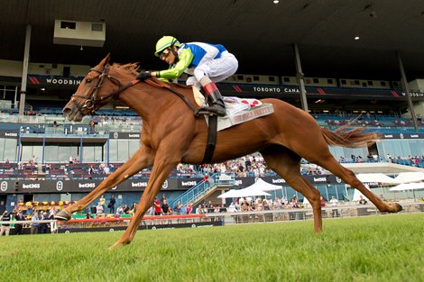 Jockey John Valezquez guides She Feels Pretty to victory in the $500,000 Johnnie Walker Natalma Stakes. She Feels Pretty is owned by Lael Stable and trained by Cherie DeVaux.
