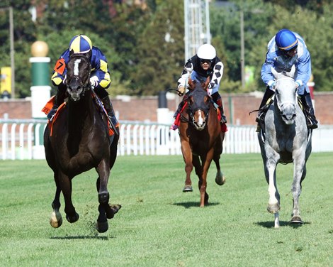 More Than Looks wins the 2023 Jefferson Cup Stakes at Churchill Downs