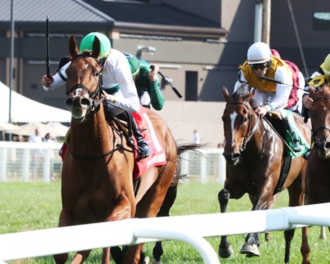Regal Realm Wins 2023 Ladies Turf Stakes at Kentucky Downs