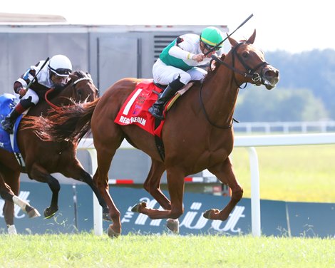 Regal Realm wins 2023 Ladies Turf Stakes at Kentucky Downs
