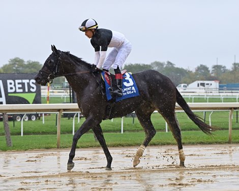 El Grande O wins the Bertram F. Bongard Stakes on Sunday, September 24, 2023 at Belmont at the Big A