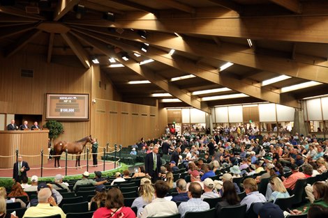 Scenics, 2023 Keeneland September Yearling Sale