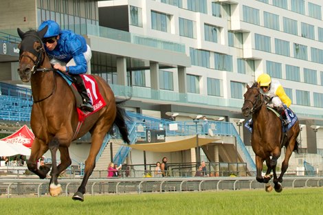 Jockey William Buick guides Godolphin's Master of the Seas (IRE) to victory in the (Grade 1), $1,000,000 Ricoh Woodbine Mile. Master of the Seas is trained by Charles Appleby.